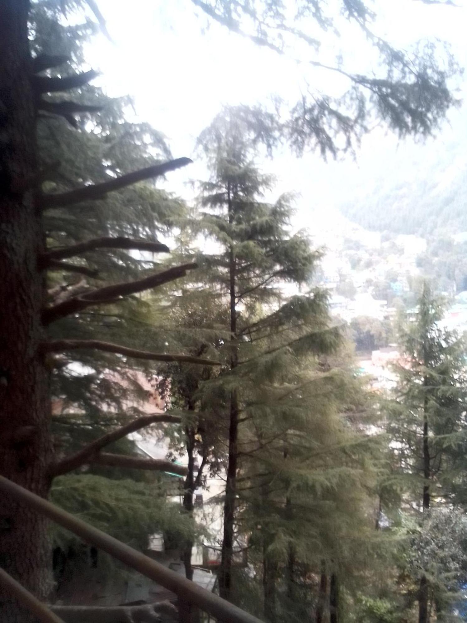 Himalayan Triund Trekking And Mountain View Vandrerhjem Dharamshala Eksteriør bilde