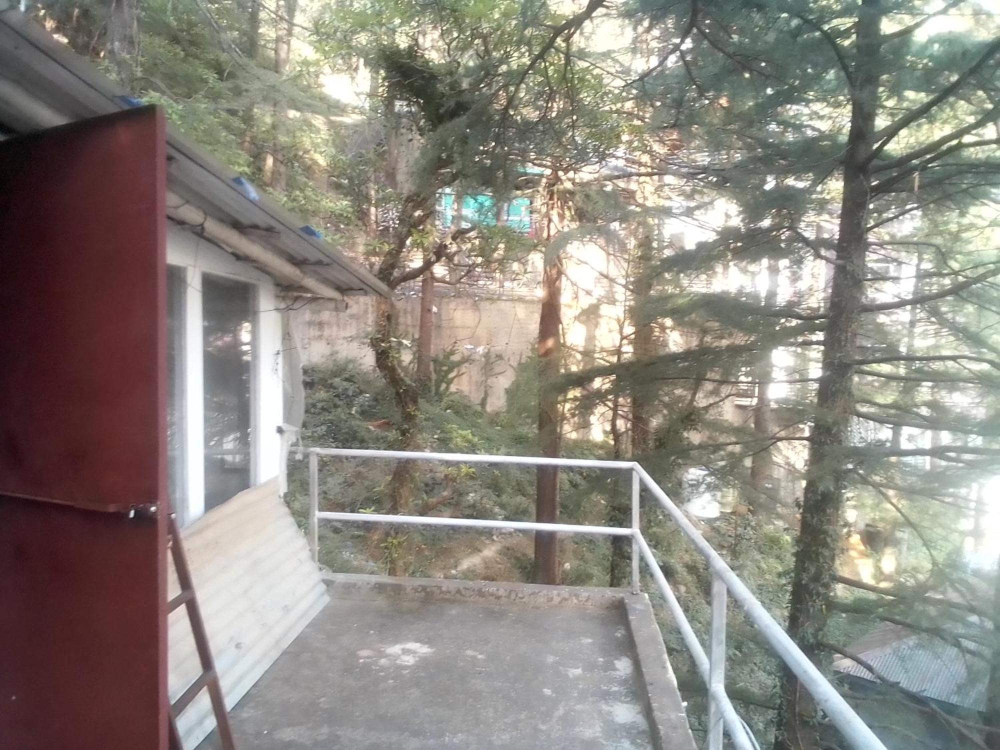 Himalayan Triund Trekking And Mountain View Vandrerhjem Dharamshala Eksteriør bilde